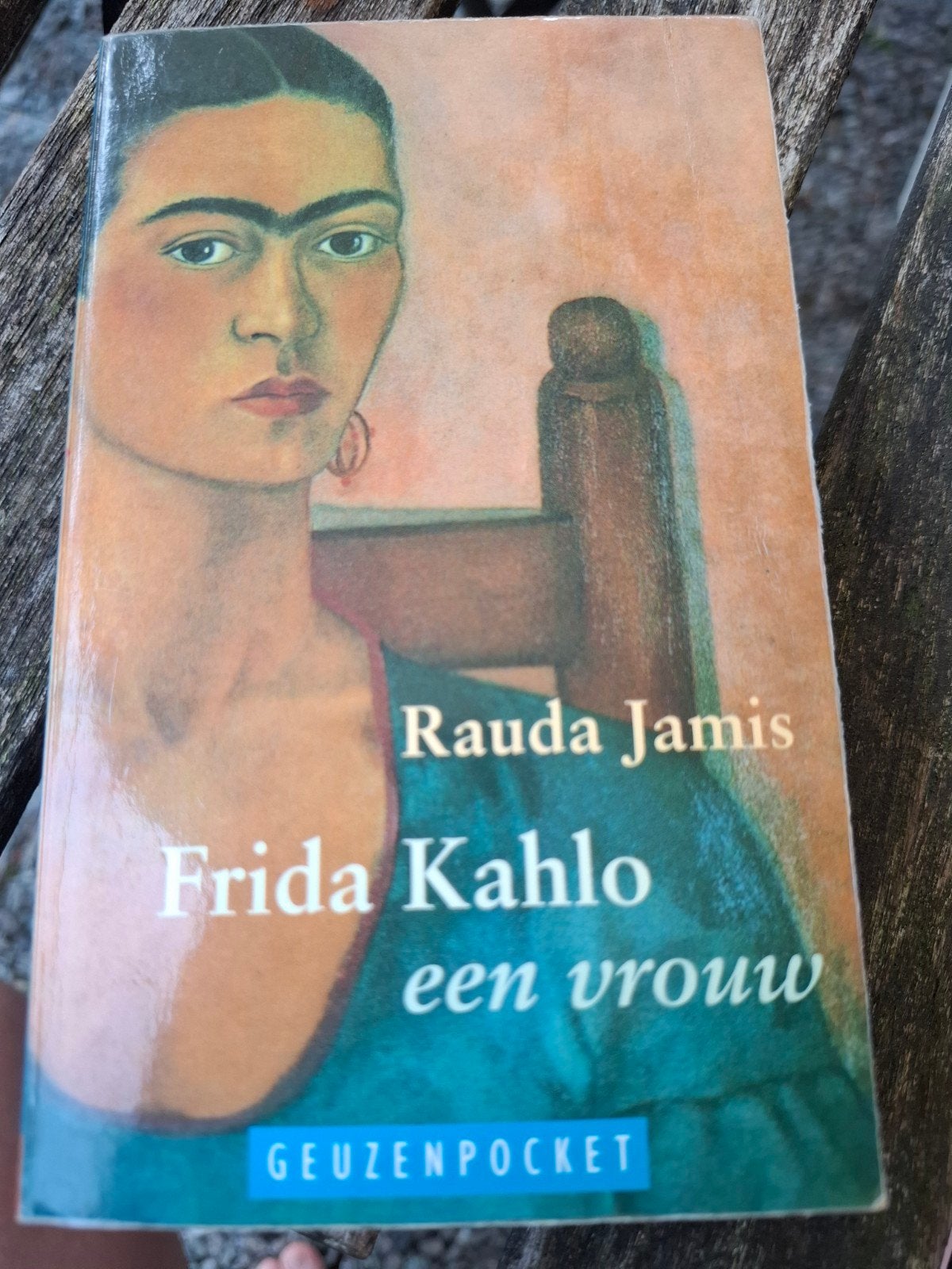 Frida Kahlo, een vrouw - Rauda Jamis (biografie), Ophalen of Verzenden, Gelezen, Rauda Jamis, Kunst en Cultuur