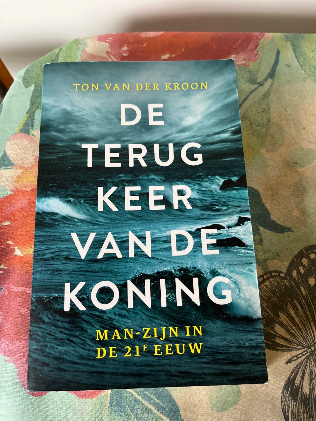 De Terugkeer van de Koning - Ton van der Kroon, Ophalen of Verzenden, Gelezen, Nederland
