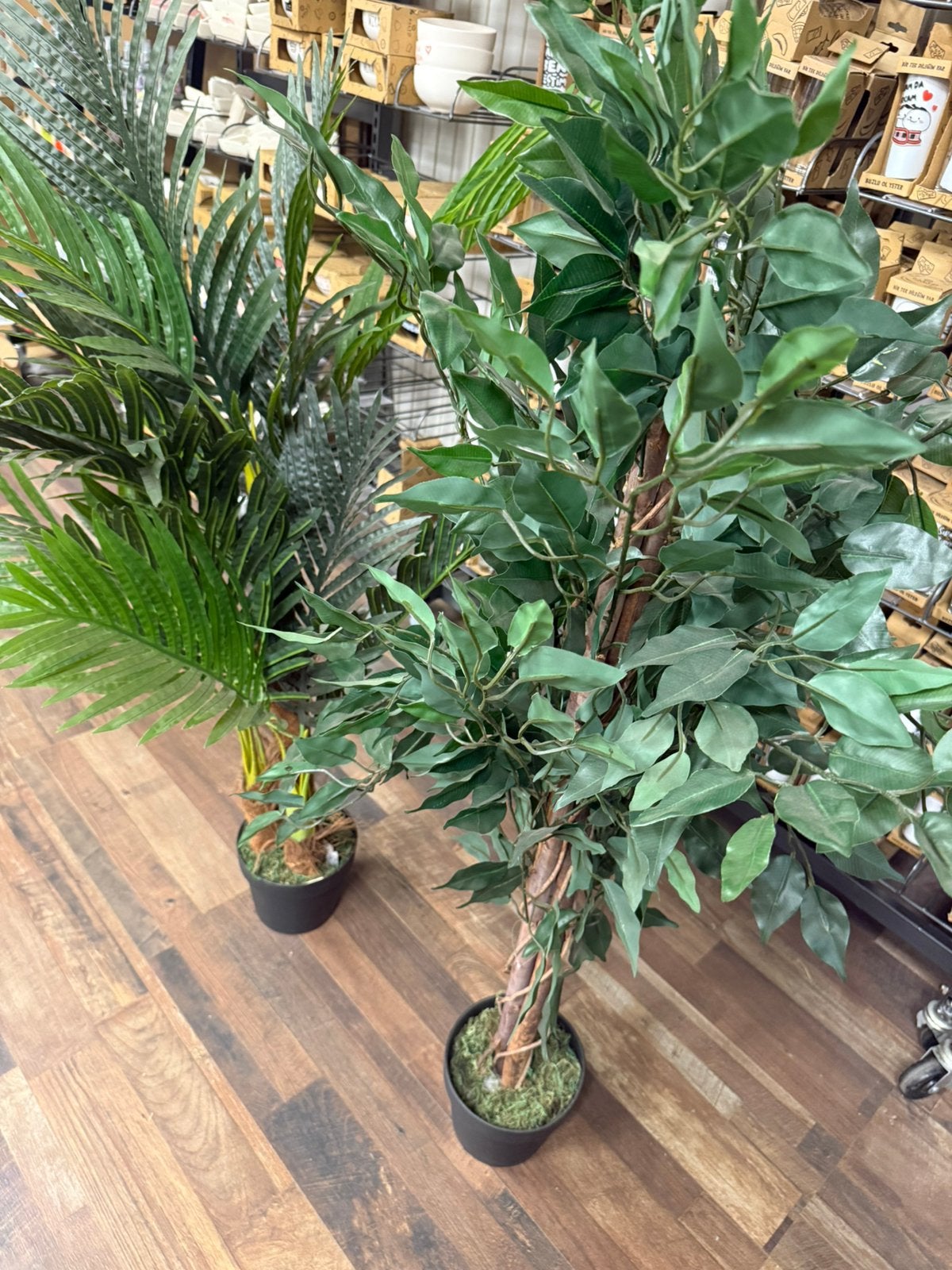 Kunstplanten 3 stuks, Ophalen, Zo goed als nieuw, Kunstplant