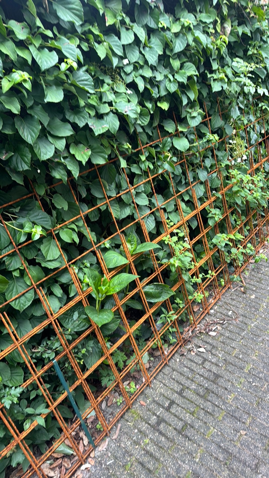 Wapeningsnetten 8 mm, Doe-het-zelf en Verbouw, Metalen, Ophalen of Verzenden, Zo goed als nieuw