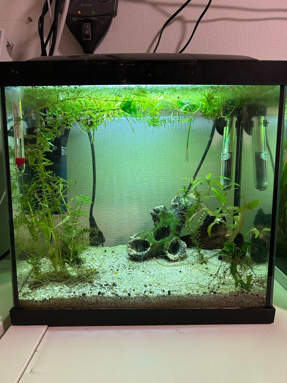 Aquarium compleet, Ophalen, Zo goed als nieuw, Gevuld zoetwateraquarium