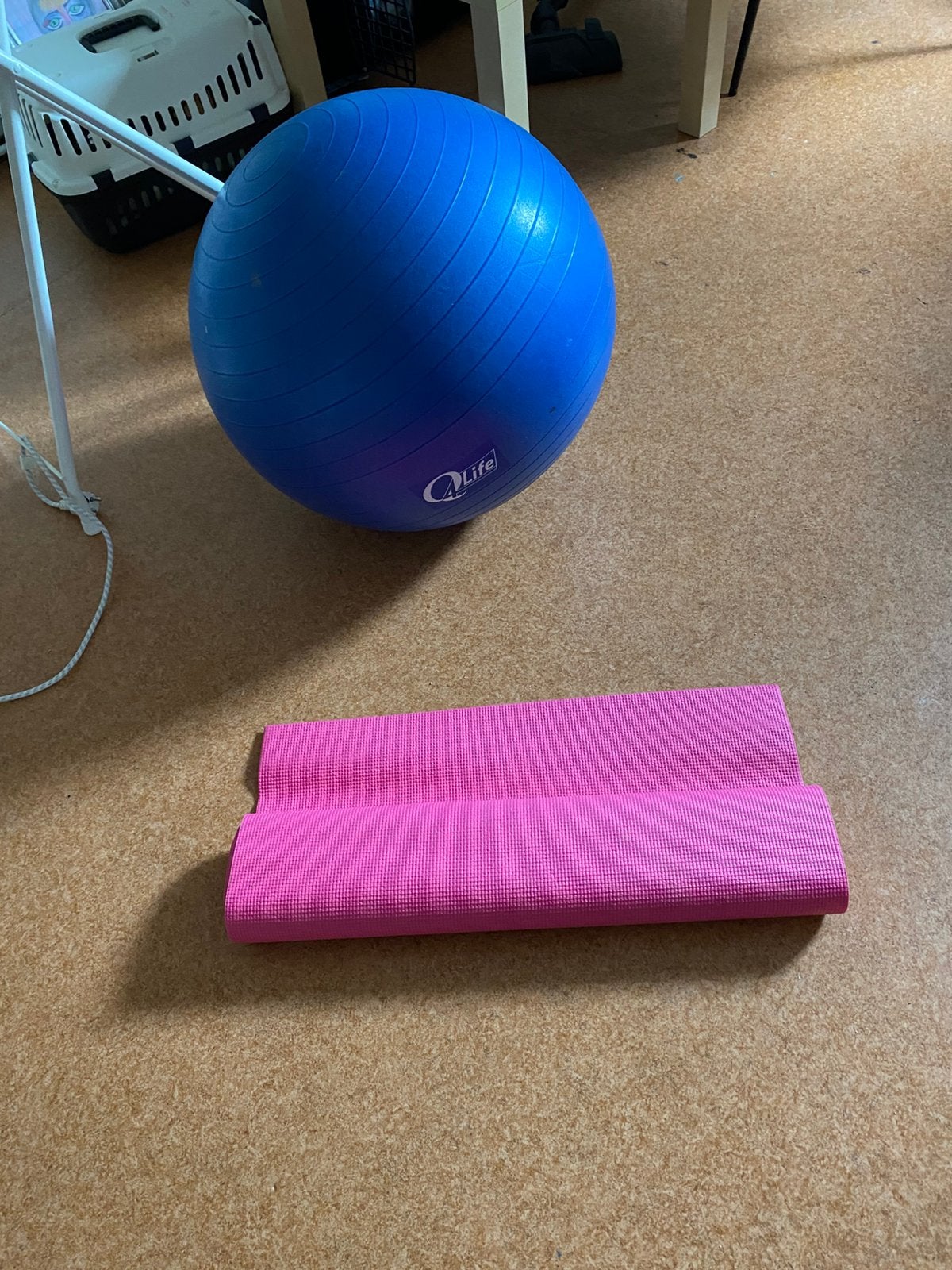 Gratis....Fitness fiets, jogamatje, skippybal, Ophalen, Gebruikt, Overige typen