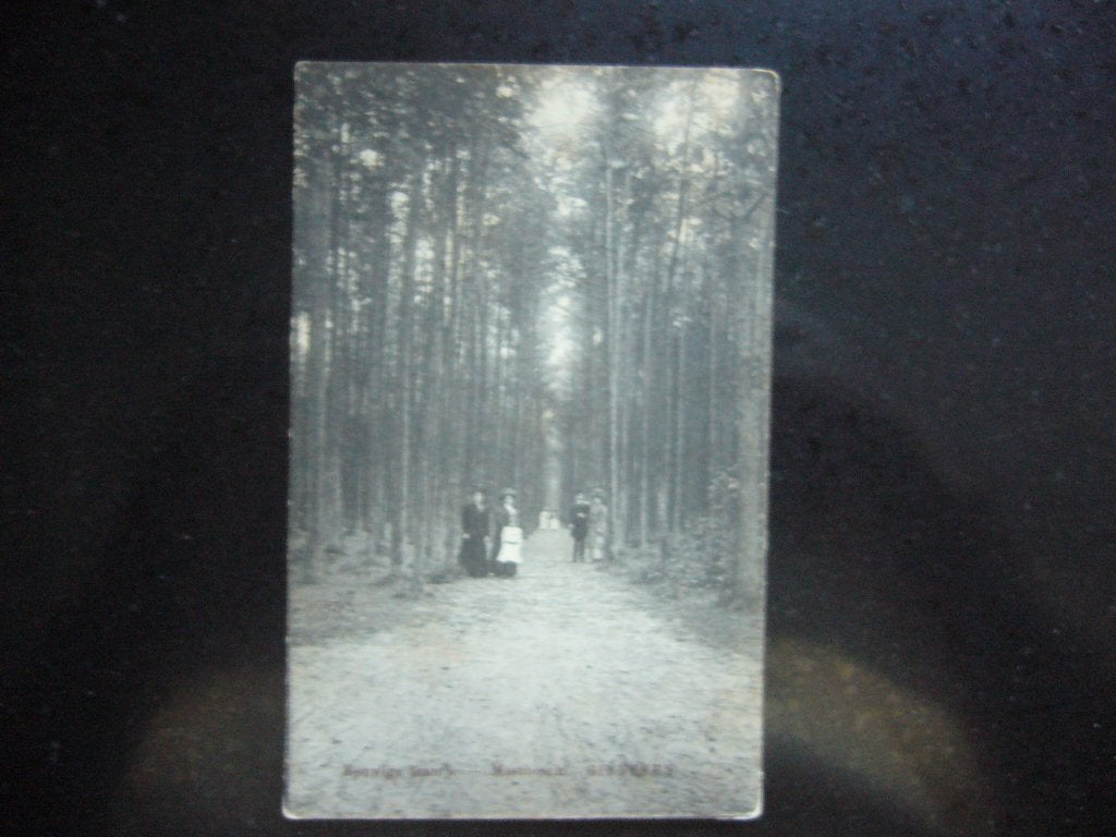 GINNEKEN  =  MASTBOSCH  -  EEUWIGE LAANTJE BRIEFKAART 1912, Ophalen of Verzenden, Voor 1920, Gelopen, Zuid-Holland