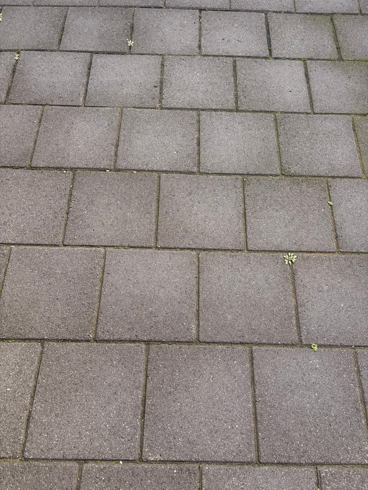 Gratis afhalen: Tegelen 40x40, ca. 35m², Ophalen, Gebruikt, 10 m² of meer, Vloertegels