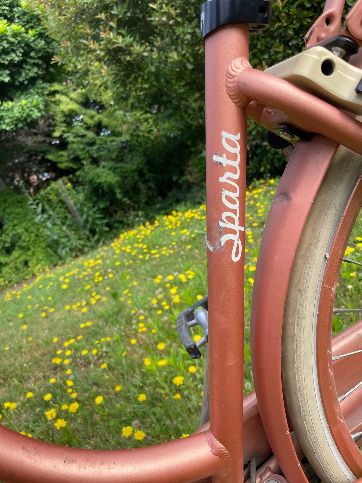 Sparta Lola-Lo elektrische fiets met voorwielmotor, Ophalen, Sparta, Gebruikt, 51 tot 55 cm