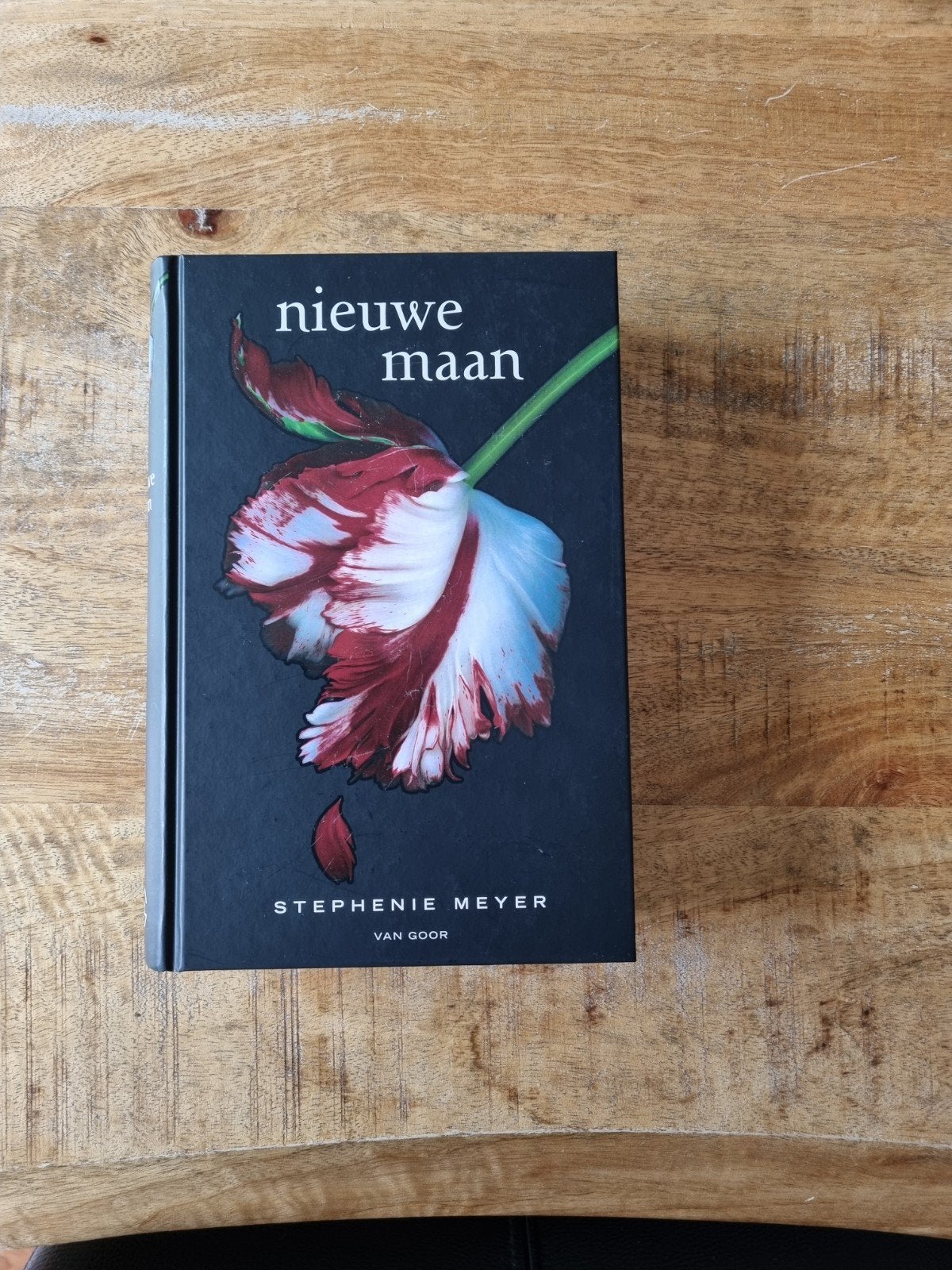 Nieuwe Maan - Twilight Saga Boek 2 - Stephenie Meyer, Ophalen, Zo goed als nieuw, Stephenie Meyer