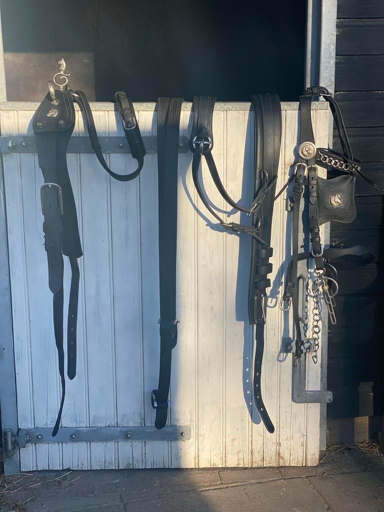 Fries mentuig, Dieren en Toebehoren, Ophalen, Overige soorten