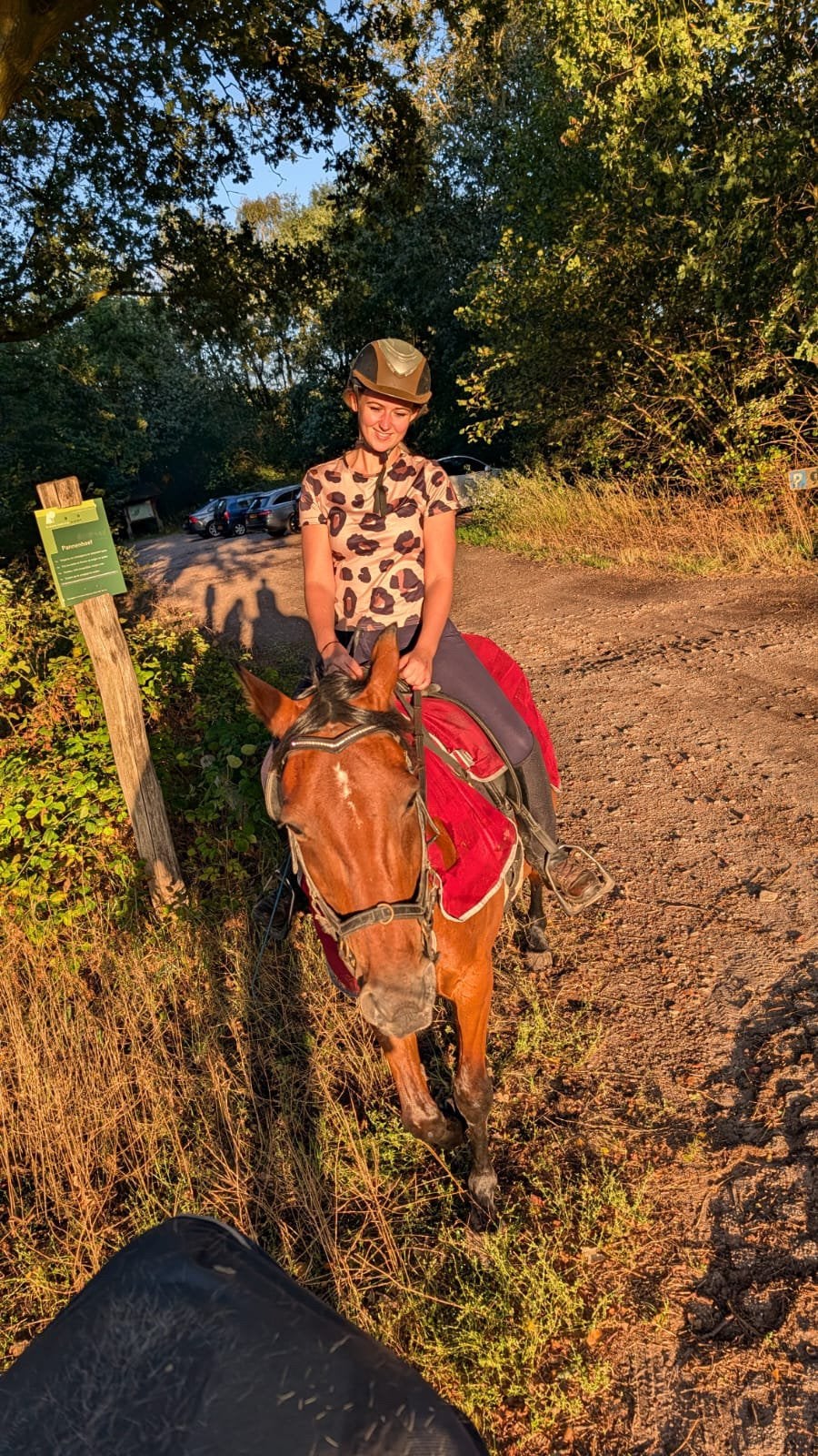Gezocht: Stalling- Fijn plekje paard / E- pony, Dieren en Toebehoren, Stalling