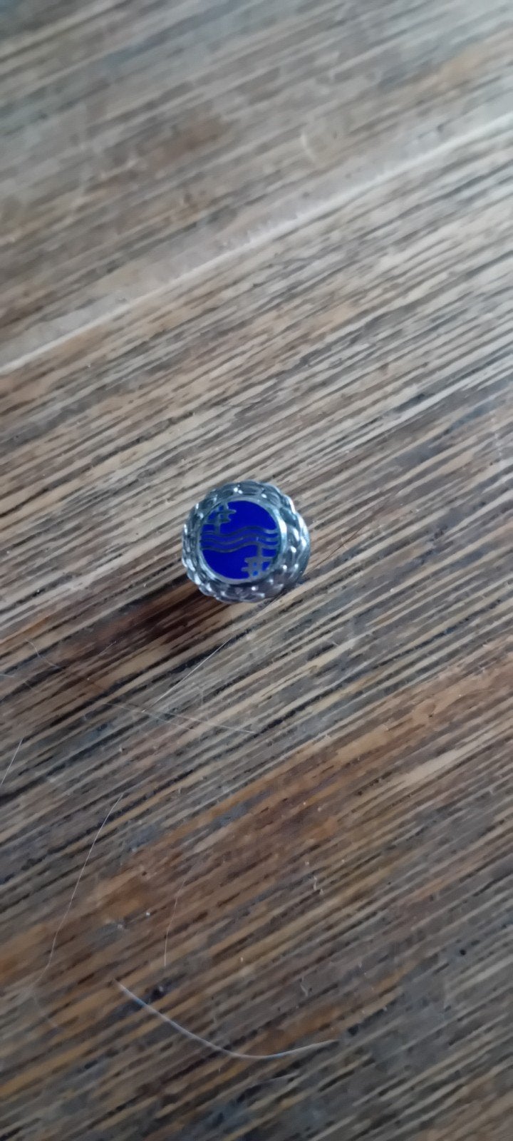 Zilveren Reversspeld met Philips Logo - 925 Zilver, Verzamelen, Speldjes, Pins en Buttons, Ophalen of Verzenden, Gebruikt, Merk