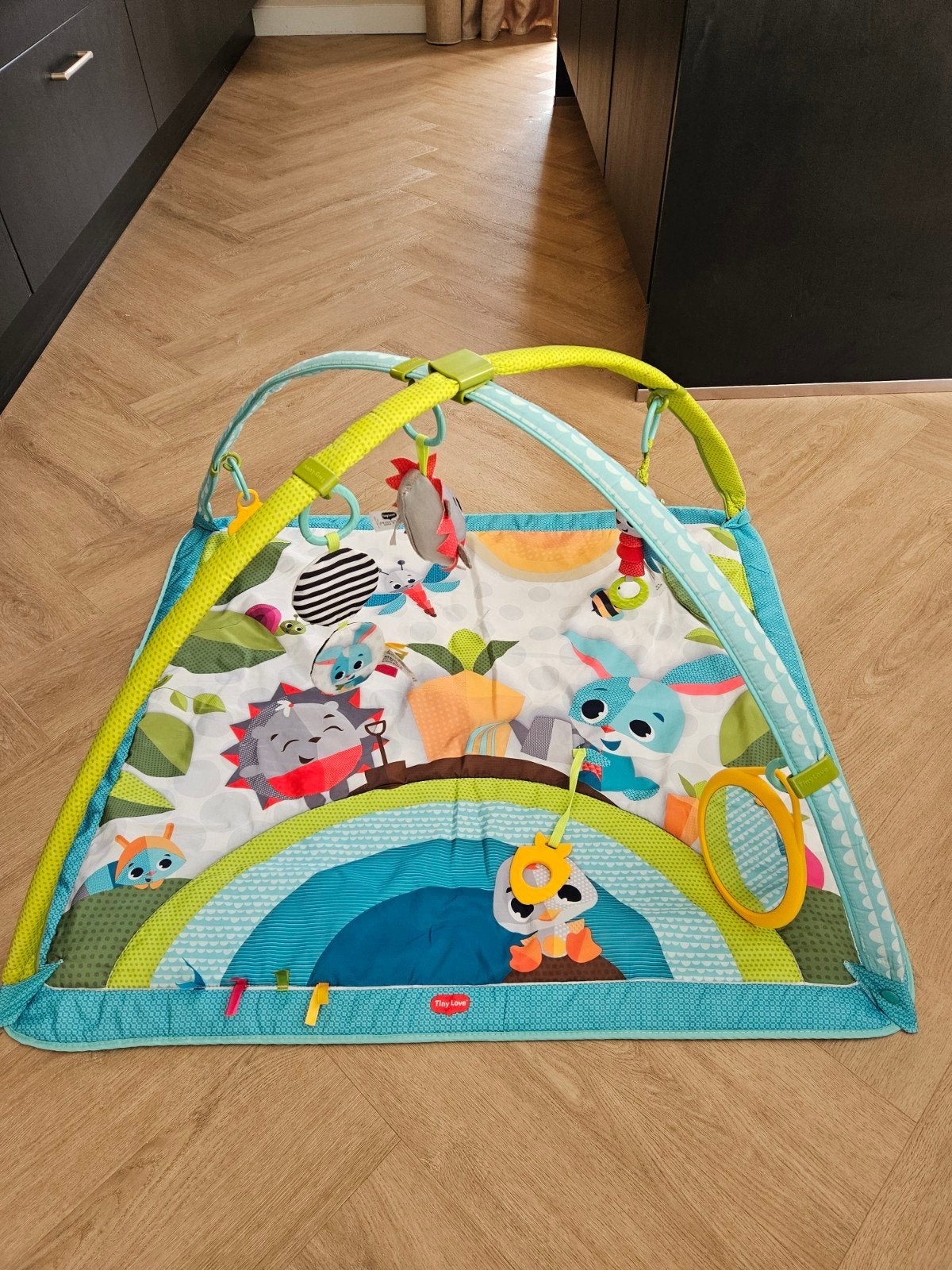Tiny Love Babygym Gymini Sunny Days Speelkleed, Ophalen, Zo goed als nieuw, Speelkleed, Met geluid