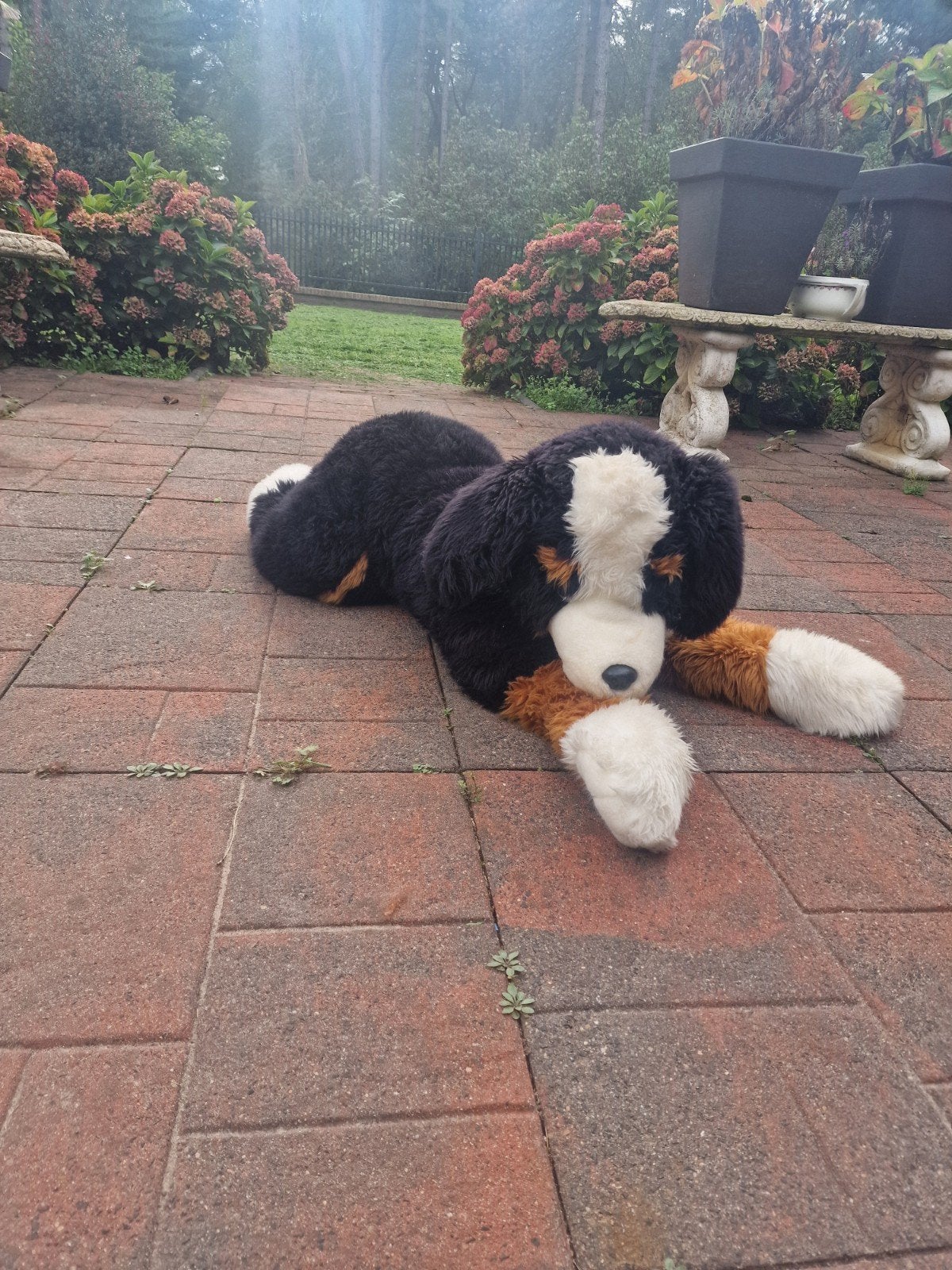 Grote Pluche Berner Sennen Hond - Ideaal voor Kinderkamer, Hond, Zo goed als nieuw, Groot (groter dan 80 cm), Verzenden