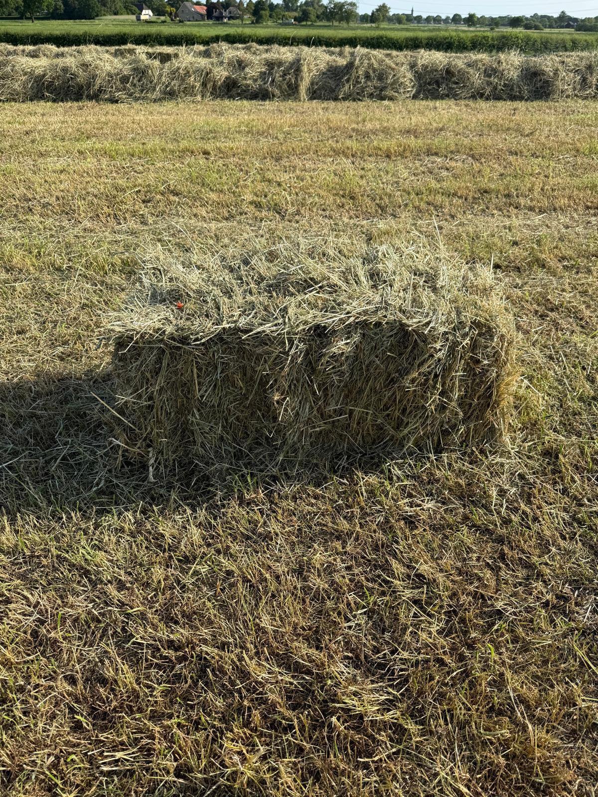 Kleine pakjes hooi, Ophalen, Vee