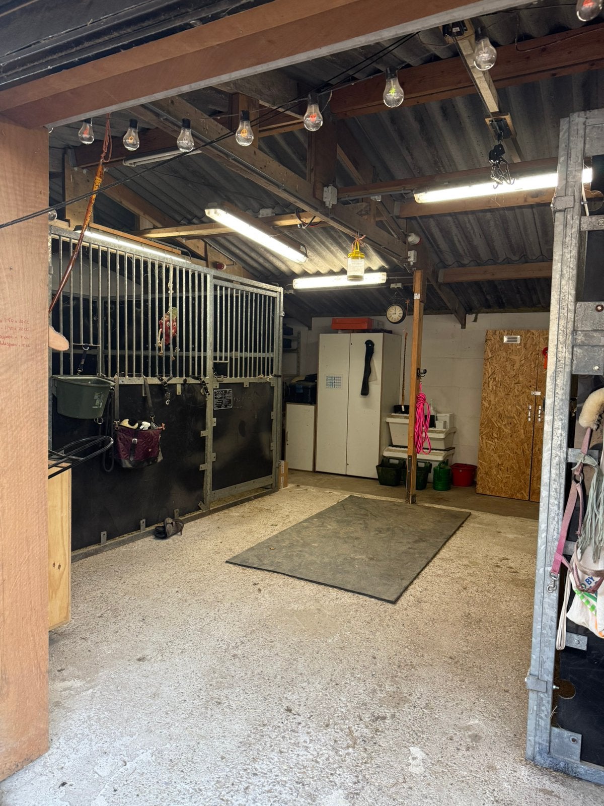 Pensionstalling - 2 boxen, Dieren en Toebehoren, Stalling en Weidegang, Weidegang, 2 of 3 paarden of pony's