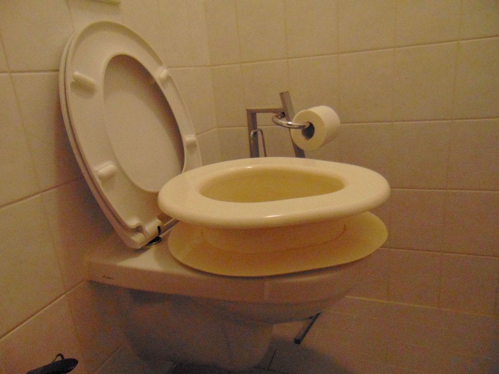 hulpmiddel toiletverhoger, Diversen, Ophalen of Verzenden, Gebruikt