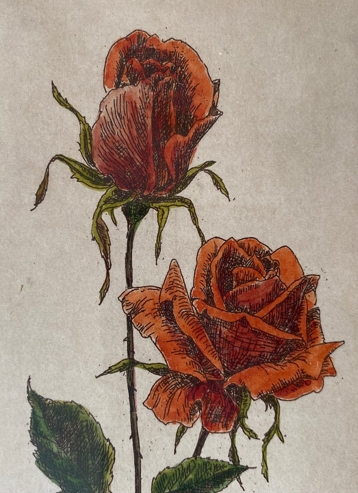 Ingekleurde ets met rozen. Gesigneerd, Ophalen of Verzenden