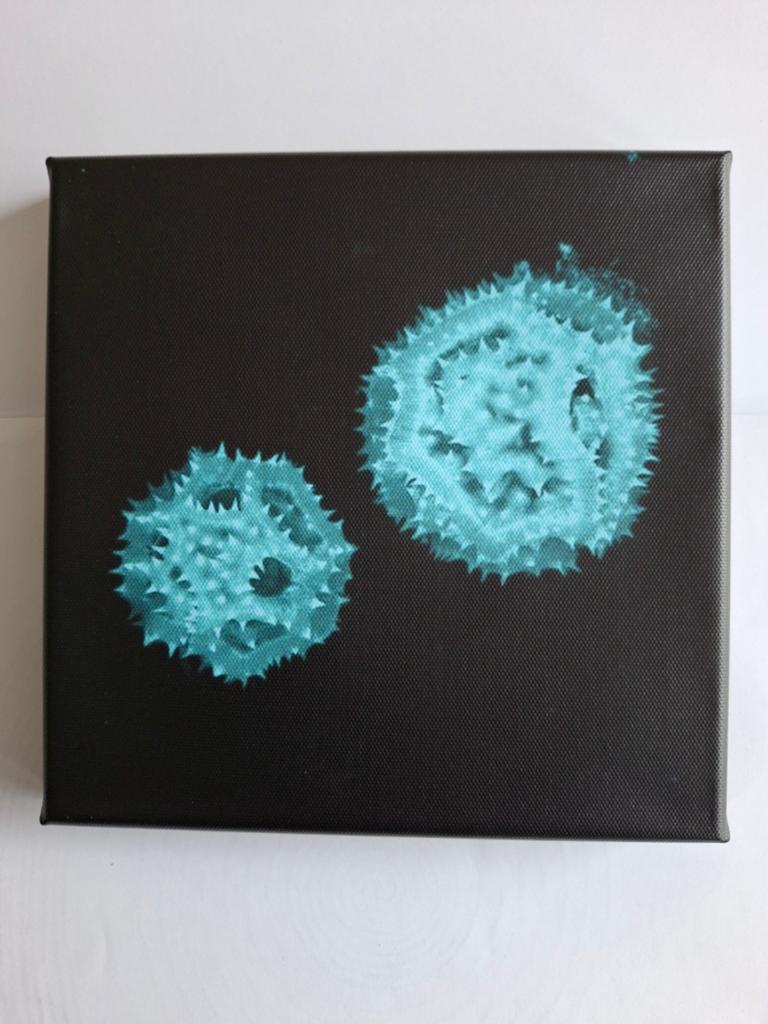 Microscopische opname stuifmeel paardebloem; canvas 20x20 cm, Ophalen of Verzenden