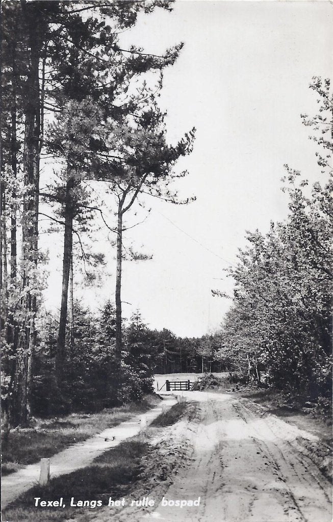 Texel langs het rulle bospad Oude Ansichtkaart ( 8498 ), Ophalen of Verzenden, Voor 1920, Gelopen, Waddeneilanden