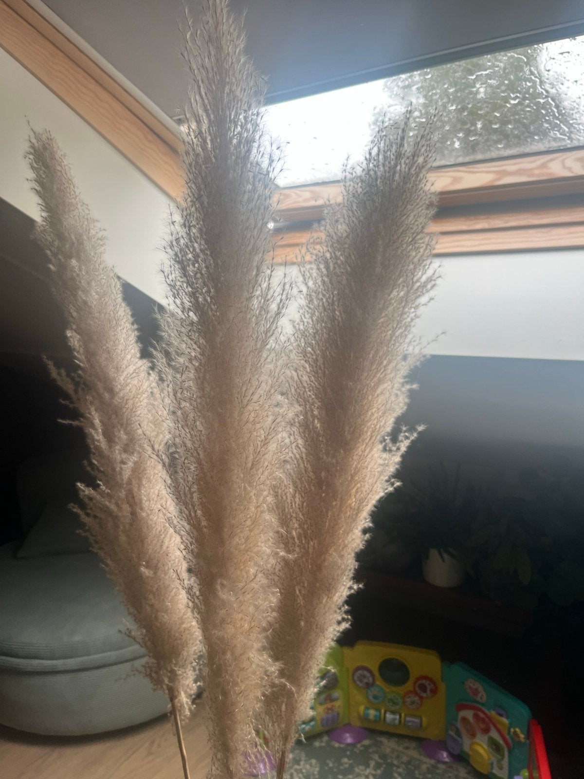 Vaas met pampas pluimen, Ophalen, Transparant, Inclusief decoratie, Glas