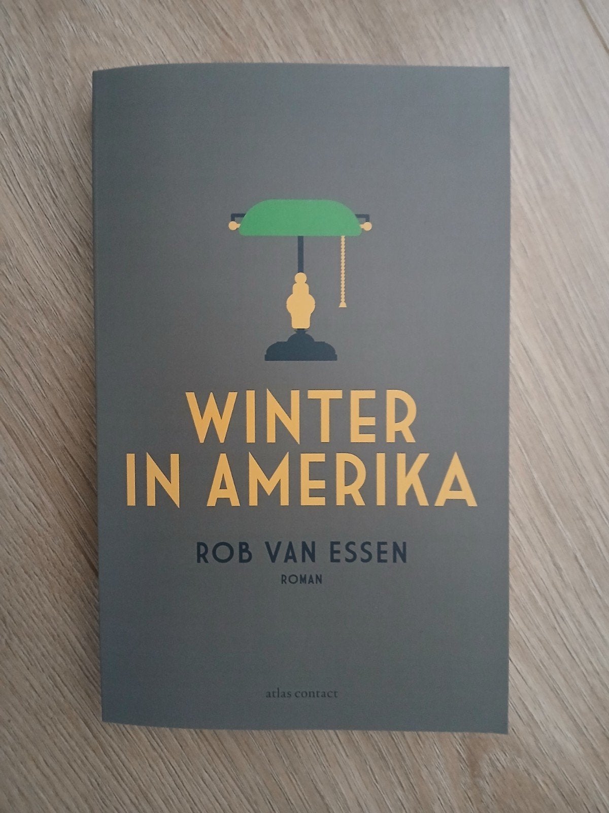 Winter in Amerika - Rob van Essen (Roman), Ophalen of Verzenden, Nieuw, Rob van Essen, Nederland
