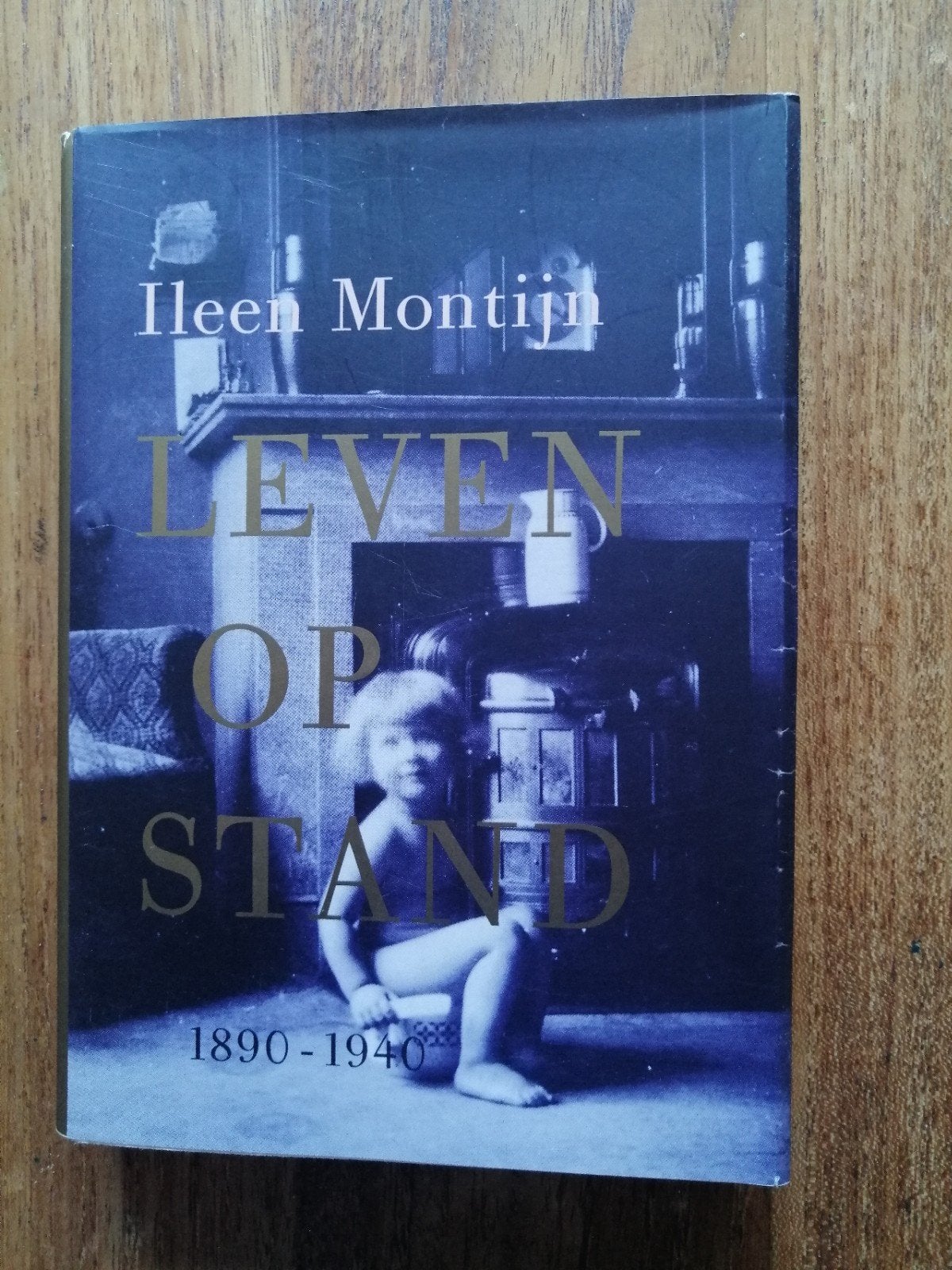 Leven op Stand 1890-1940 - Ileen Montijn, Verzenden, 20e eeuw of later, Zo goed als nieuw, Ileen Montijn