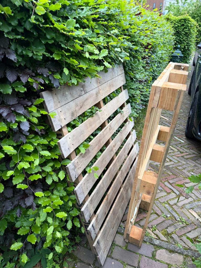 GRATIS 2 pallets afhalen, Ophalen, Overige houtsoorten, Minder dan 200 cm, Pallet