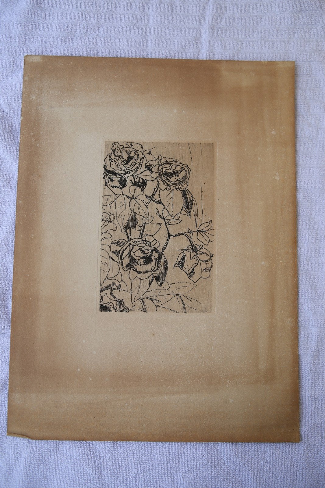 Originele Ets 'Rozen' (1891) door Floris Verster, Ophalen of Verzenden