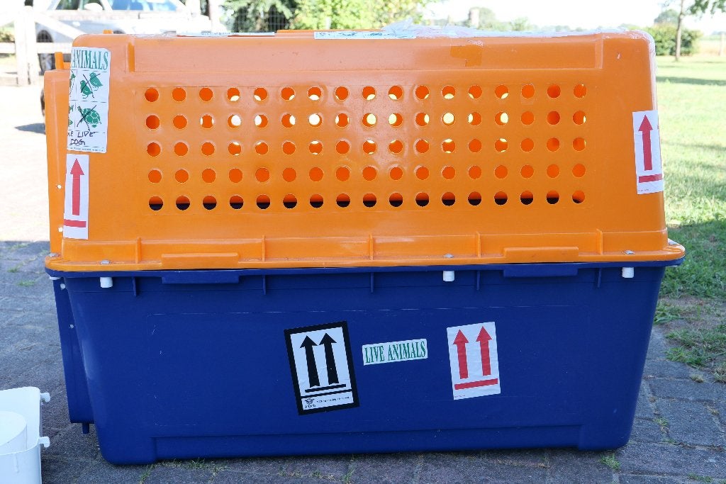 Honden Transport Box, Dieren en Toebehoren, Ophalen, Zo goed als nieuw
