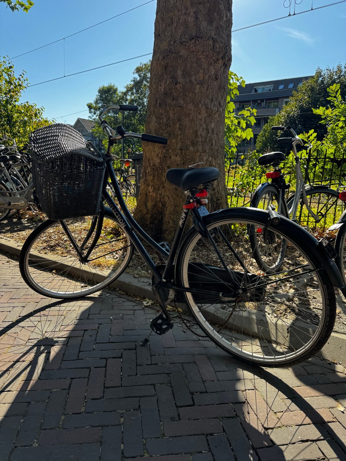 Fiets met mand - ketting moet gesteld worden, Ophalen, Gebruikt, Overige merken