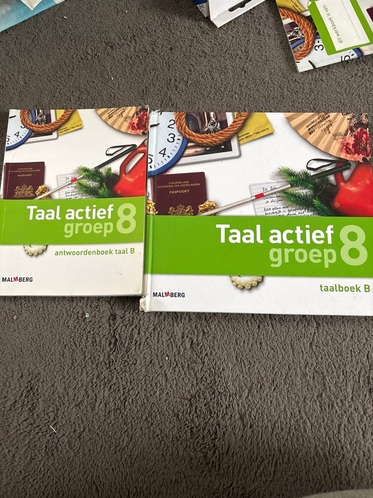 Taal actief groep 8 - Taalboek B, Werkboek B en Antwoordenbo, Boeken, Ophalen of Verzenden, Zo goed als nieuw, Overige niveaus