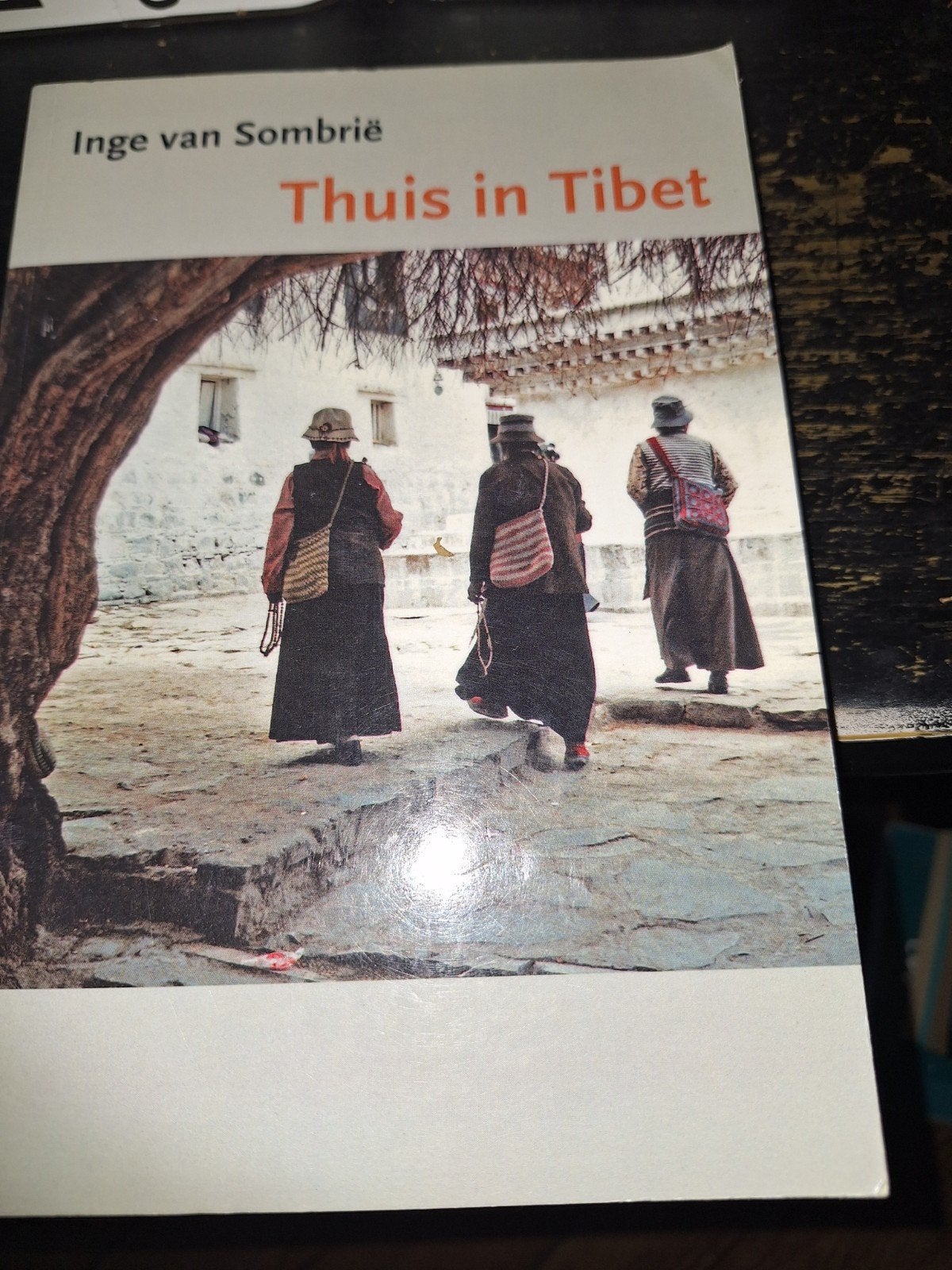 Thuis in Tibet, Ophalen of Verzenden, Zo goed als nieuw, Spiritualiteit algemeen, Overige typen