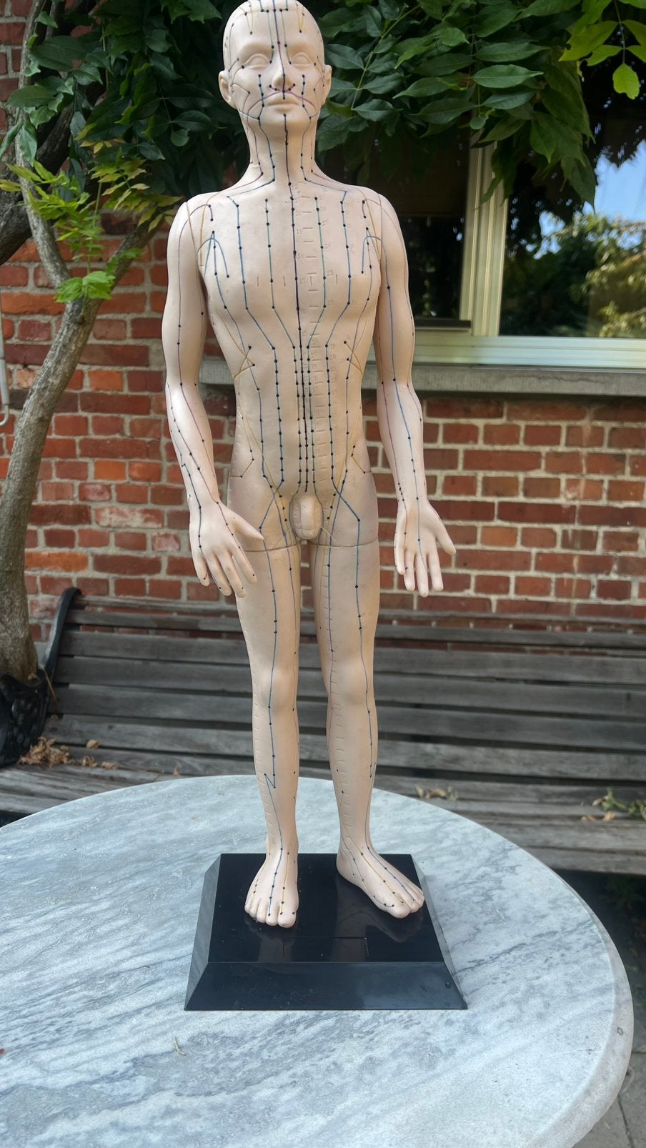 Acupunctuur pop/model, Ophalen of Verzenden, Zo goed als nieuw, Apparaat