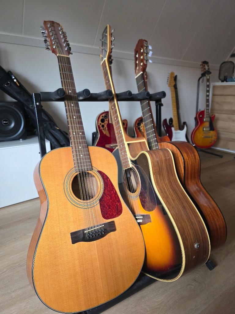Akoestische gitaren Fender Estella Greg Bennet 12 / 6 snarig, Muziek en Instrumenten, Ophalen, Gebruikt, Western- of Steelstringgitaar
