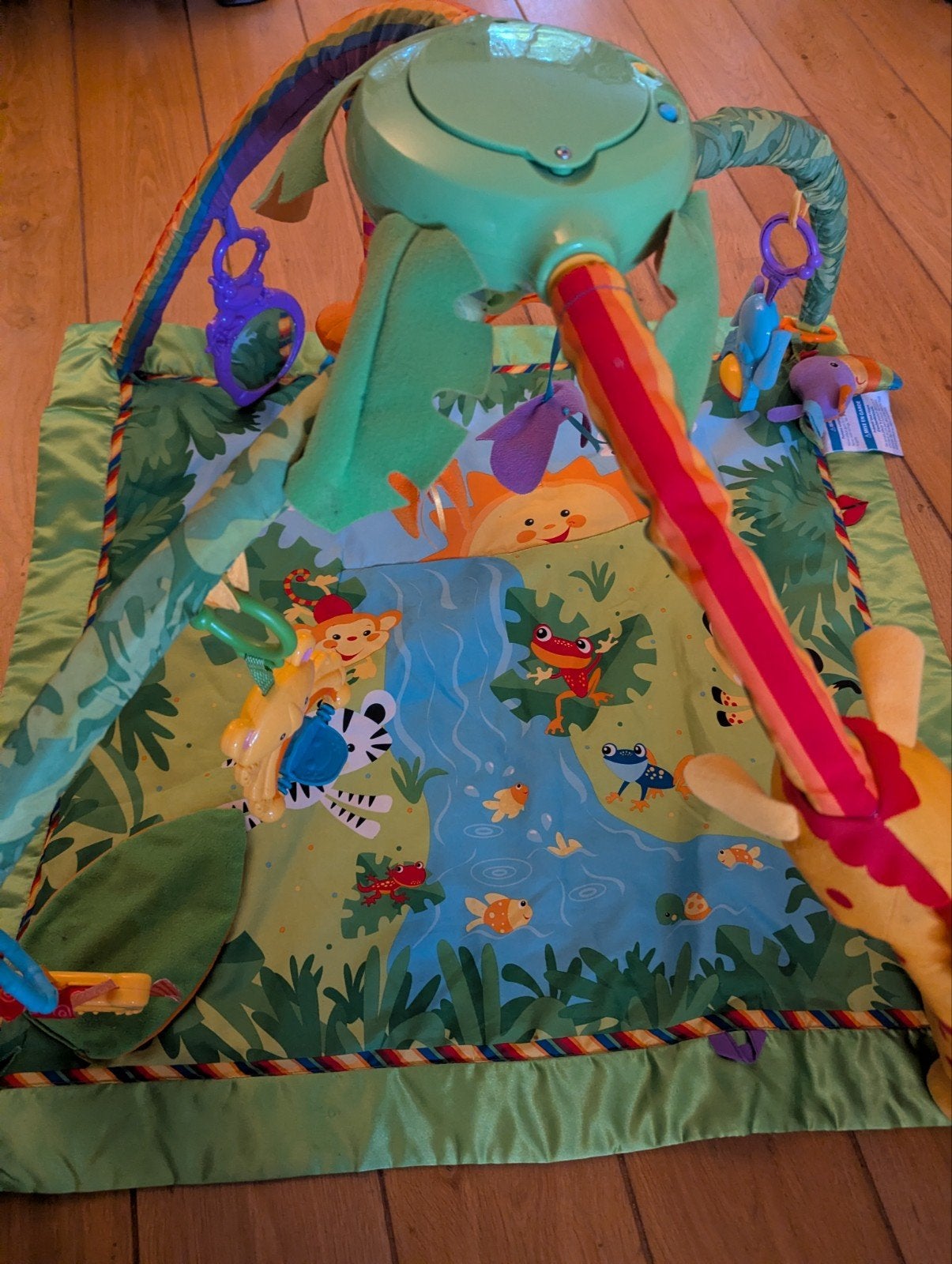 Fisher-Price Rainforest Melodies & Lights Deluxe Gym, Ophalen