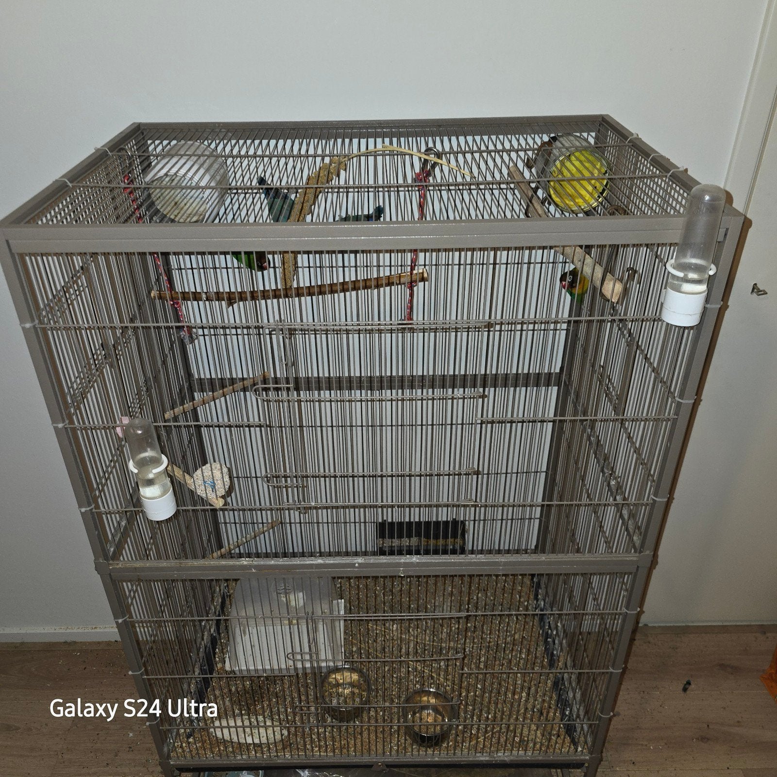 4 dwergpapagaaitjes +kooi, Dieren en Toebehoren, Vogels | Hokken en Kooien, Ophalen, Zo goed als nieuw, Metaal, Vogelkooi