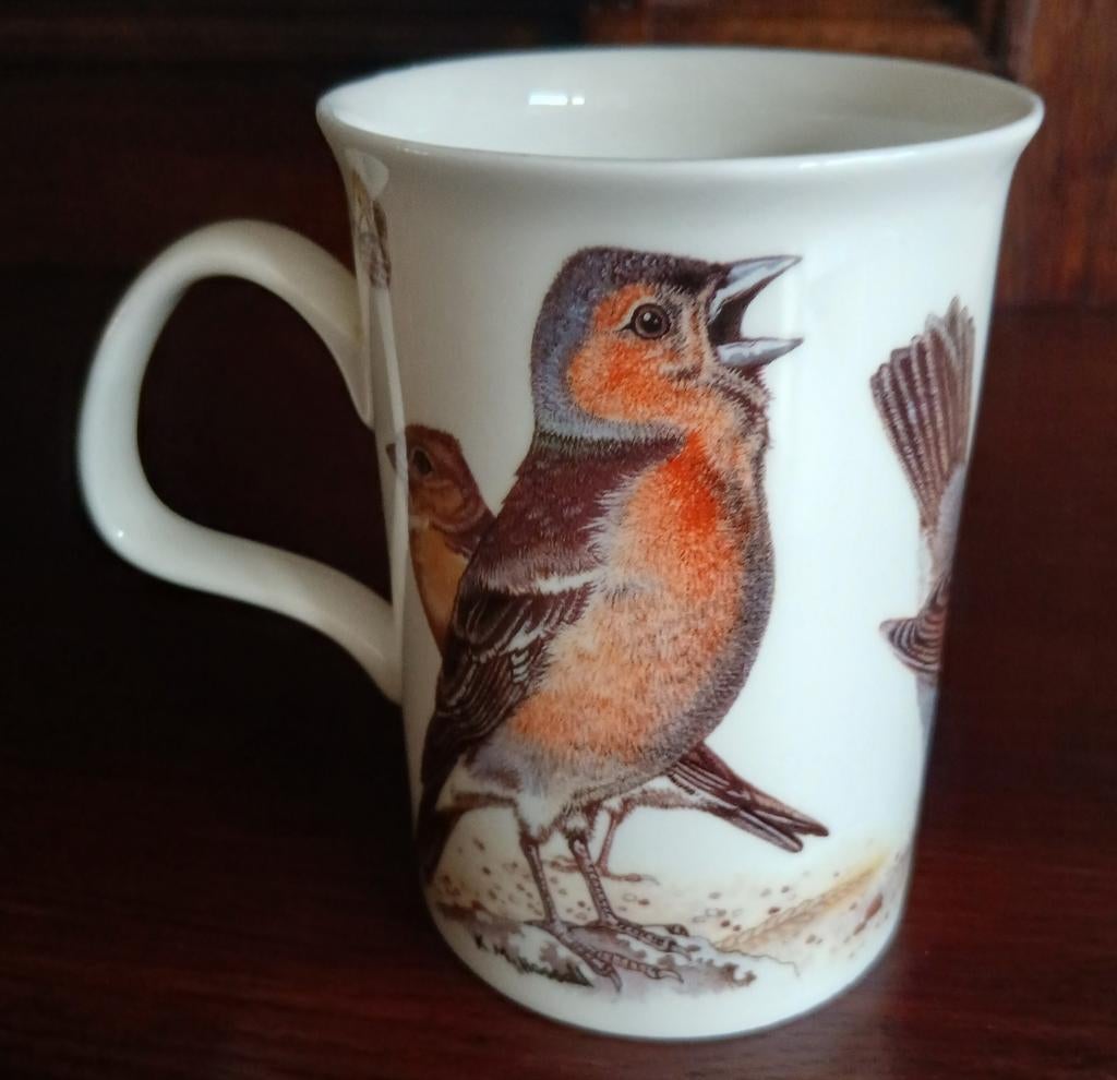 Vintage mok Roy Kirkham GARDEN BIRDS, Ophalen of Verzenden