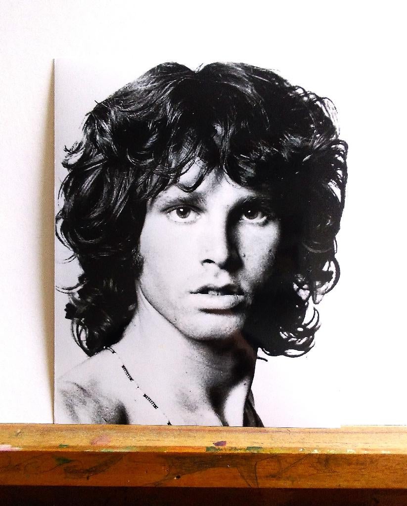 Joel Brodsky - Jim Morrison 1967, Verzamelen, 1960 tot 1980, Verzenden, Foto, Zo goed als nieuw