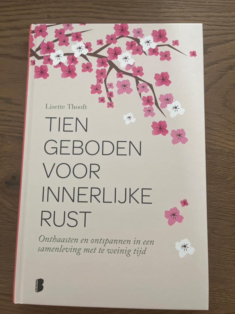 Tien Geboden Voor Innerlijke Rust - Lisette Thoof, Boeken, Ophalen, Zo goed als nieuw, Spiritualiteit algemeen, Achtergrond en Informatie