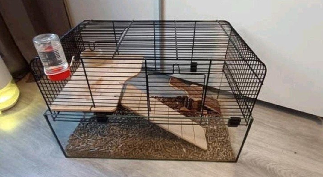 Gerbil kooi met glas, Dieren en Toebehoren, Knaagdieren en Konijnen | Hokken en Kooien, Kooi, Gebruikt, Minder dan 75 cm, Ophalen