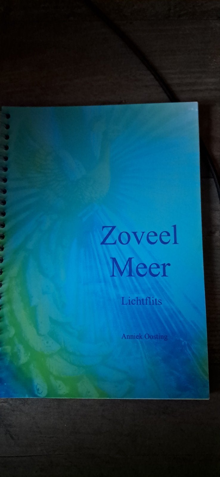 Zoveel Meer - Lichtflits door Anniek Oosting, Boeken, Achtergrond en Informatie, Spiritualiteit algemeen, Ophalen of Verzenden