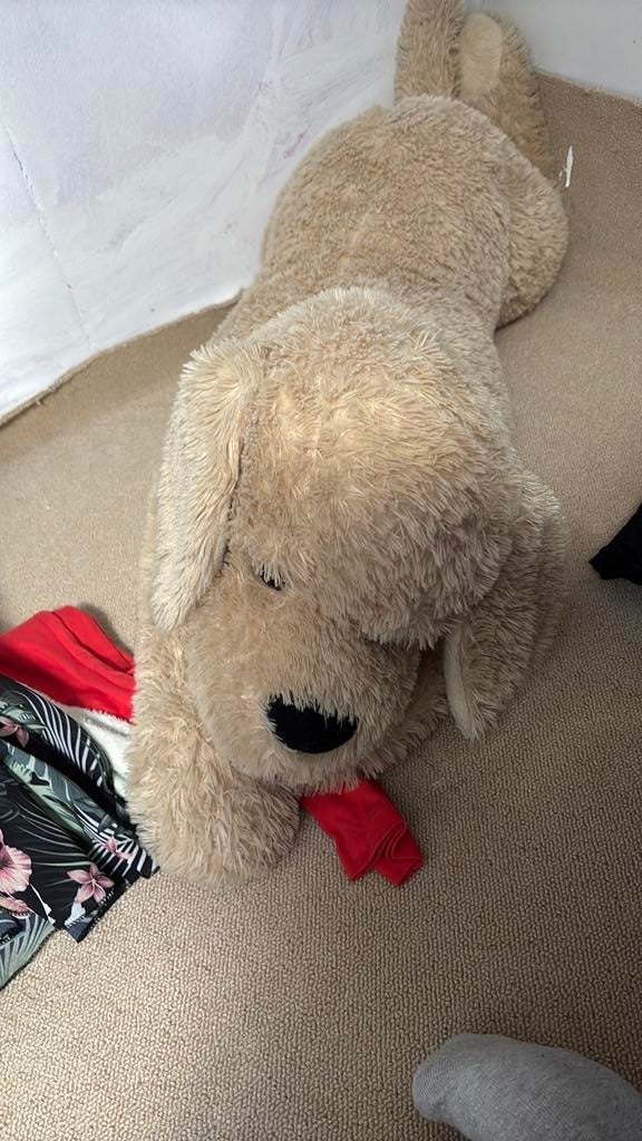 Knuffel hond, Ophalen of Verzenden, Zo goed als nieuw