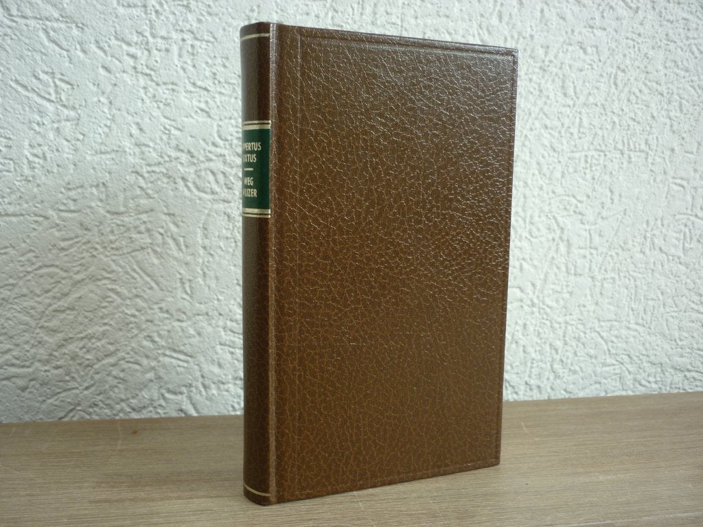 Rippertus Sixtus - Wegwijzer, Ophalen of Verzenden, Gelezen, Christendom | Protestants