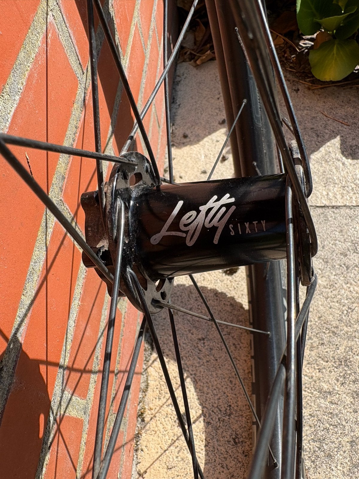 Cannondale Lefty 60 MTB Wielset 29 inch Schwalbe Racing Ralp, Ophalen of Verzenden, Gebruikt, Overige merken