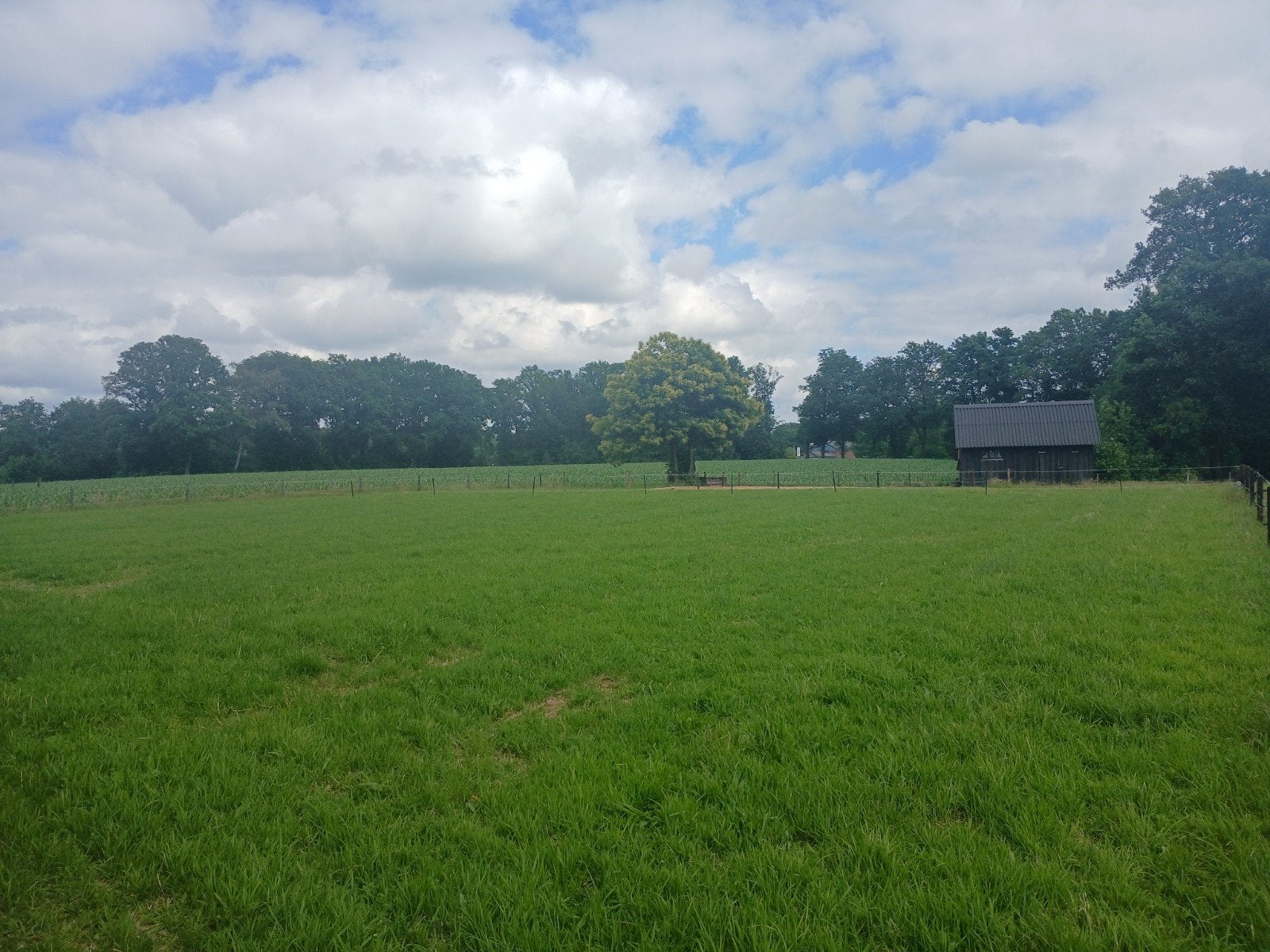 Weiland met paddock,stal, opbergruimte, Dieren en Toebehoren, Stalling en Weidegang