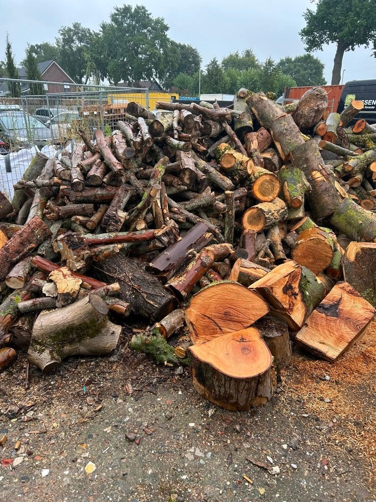 Kachelhout, brandhout, haardhout, stookhout, 3 tot 6 m³, Ophalen, Overige houtsoorten, Stammen