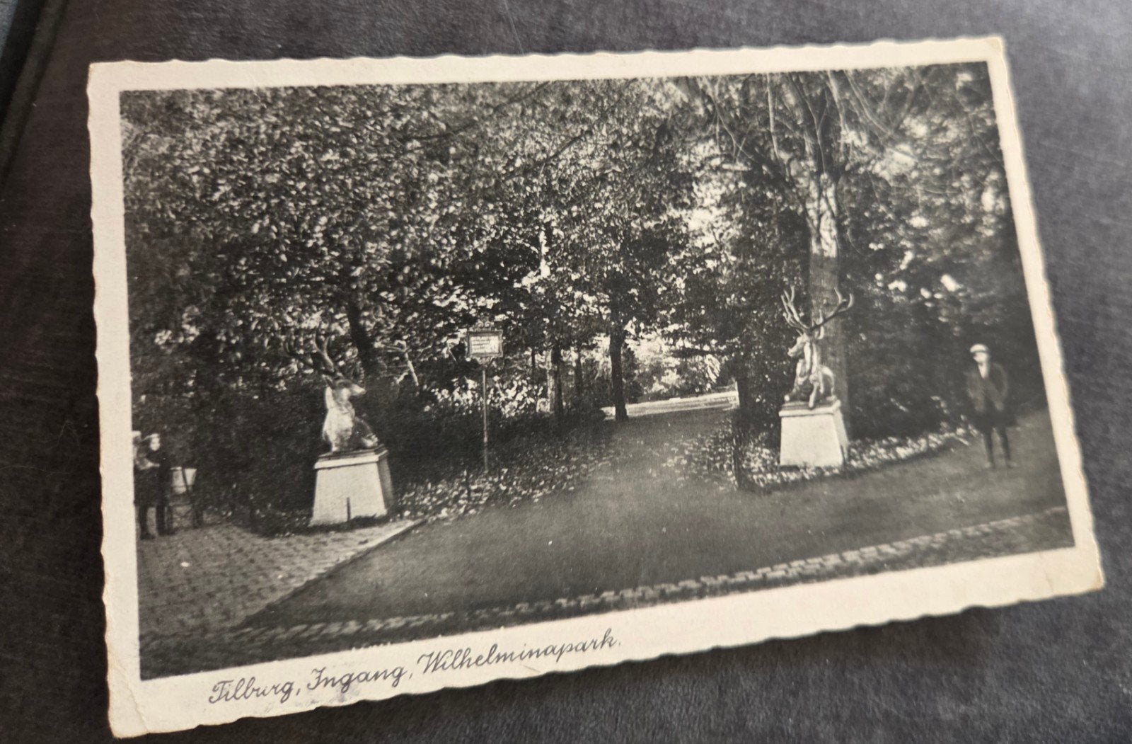 Oude Ansichtkaart Tilburg, Ingang Wilhelminapark, Verzenden, 1940 tot 1960, Gelopen, Noord-Brabant