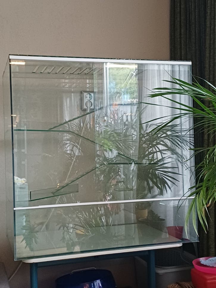 Rattenkooi, Muizenkooi van glas in afmeting 80/50/80 cm