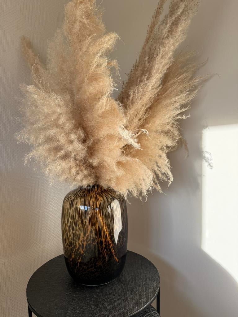 Panter vaas (the golden webshop), Ophalen, Overige kleuren, Nieuw, Glas