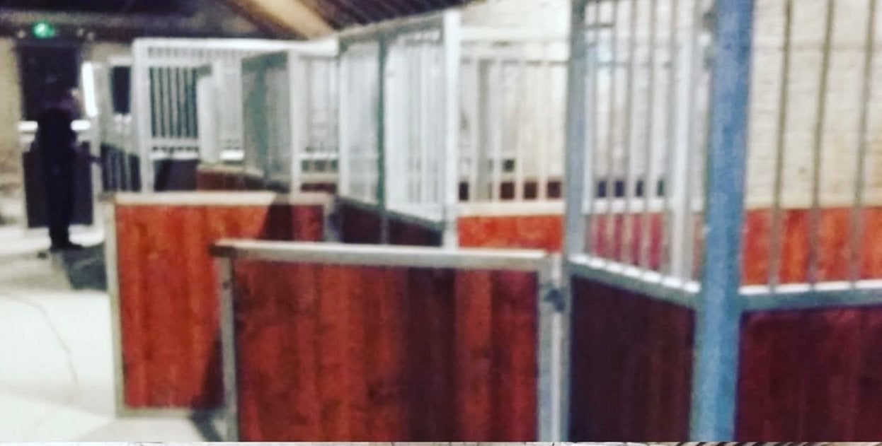 3 paardenboxen, Dieren en Toebehoren, Toebehoren, 2 of 3 paarden of pony's