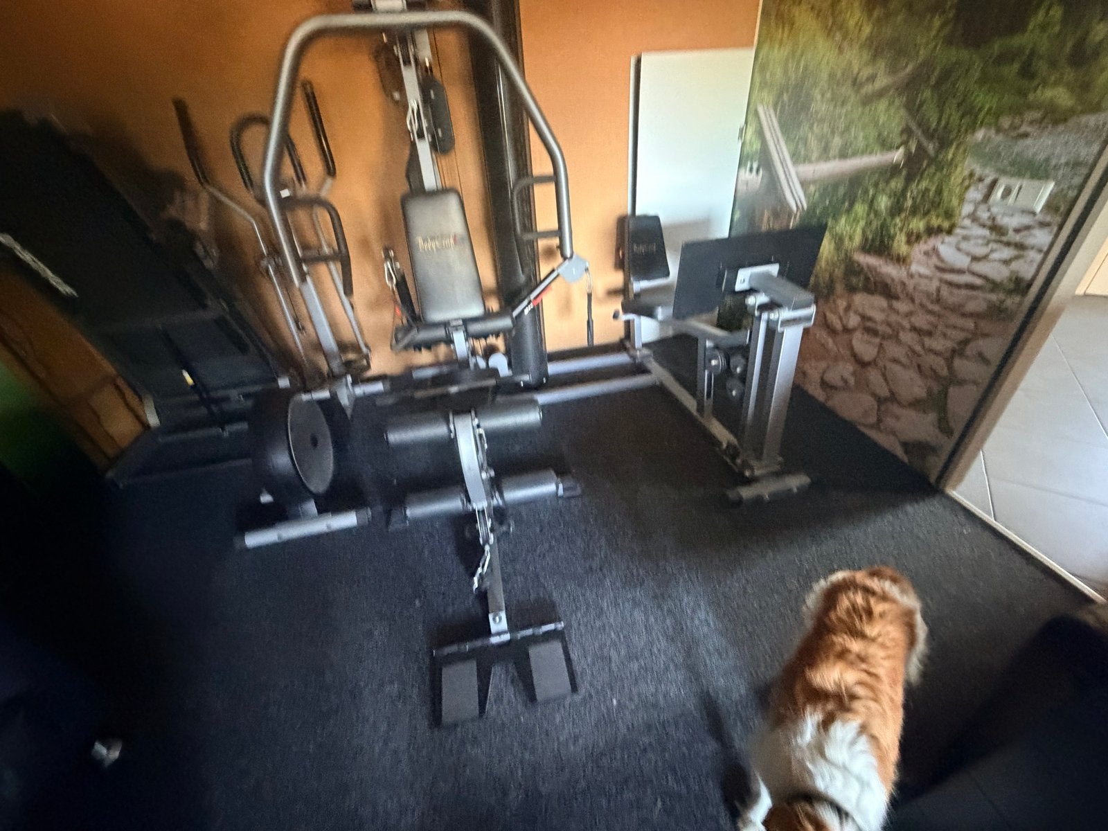 BodyCraft Krachtstation - Compleet professioneel Home Gym, Ophalen, Gebruikt, Krachtstation, Armen
