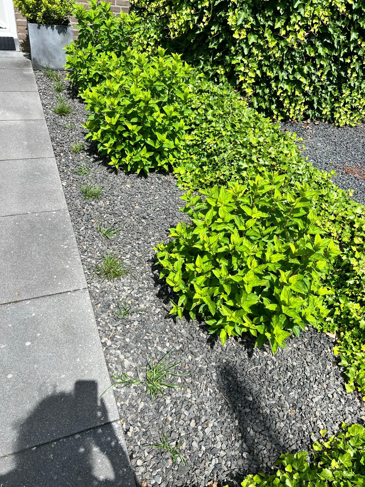 Gratis ophalen Zwart split voor tuin of oprit, Tuin en Terras, Grind, Keien en Split, Overige materialen, Gebruikt, Zwart, Ophalen of Verzenden